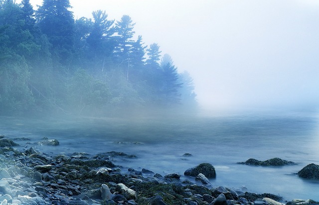 風景mist-1659115_1920.jpg