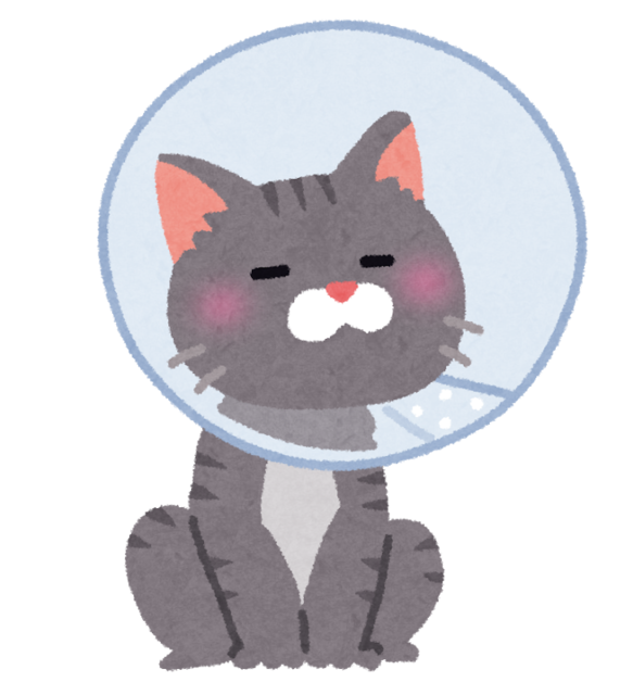 pet_elizabeth_collar.png