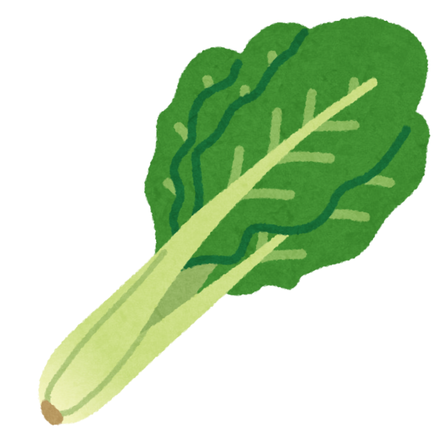 vegetable_komatsuna.png