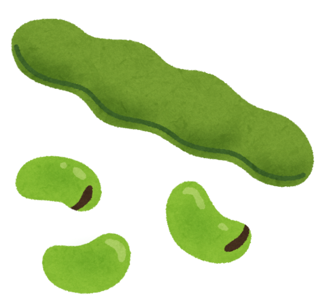 vegetable_soramame.png